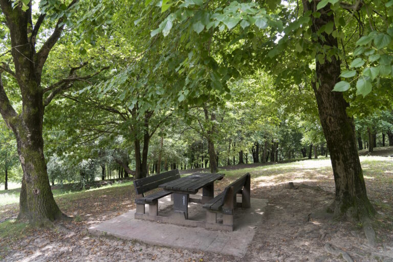 Área de esparcimiento. Merenderos en el parque de Akarlanda
